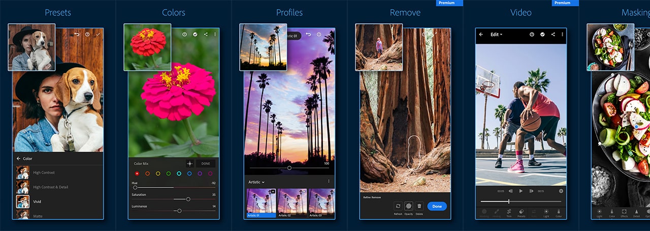 adobe lightroom apk download